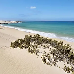 https://apartamento-betty-c.in-canary-islands.com